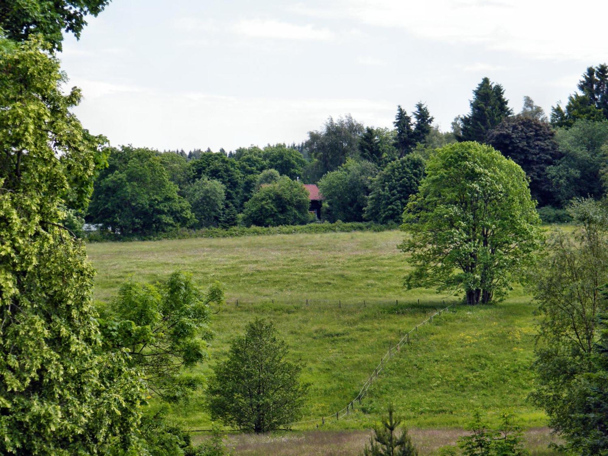 Apartments Carmen-Braunlage Zewnętrze zdjęcie
